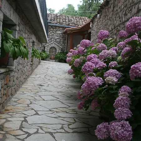 Platanos Guest house *